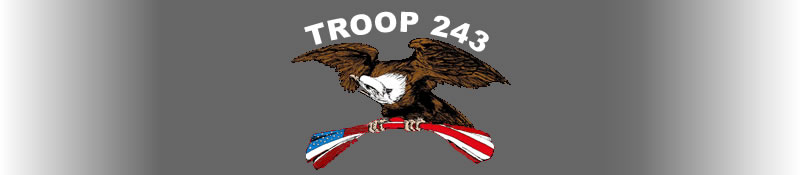 Troop 243